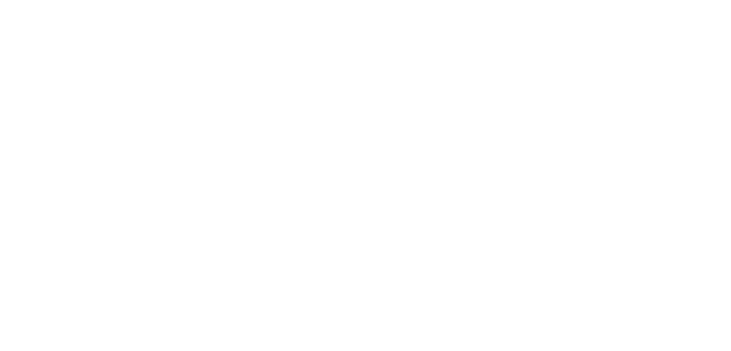 PIONEERING POSSIBILITY